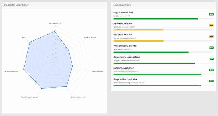KAAS Radar-Chart der 6 Kerndimensionen