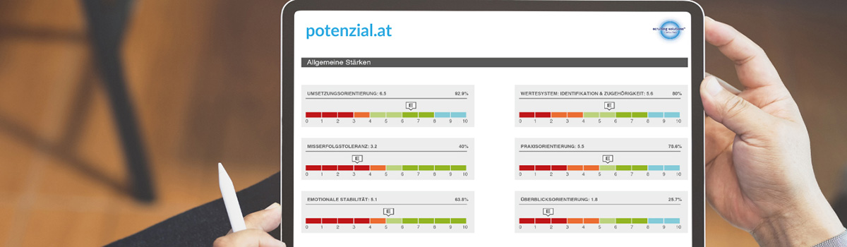Potenzialanalyse auf iPad